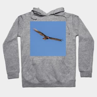 Turkey Vulture in a Blue Sky Hoodie